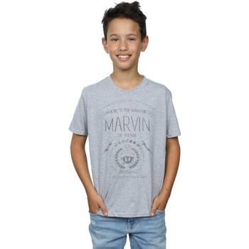 Vêtements Garçon T-shirts manches courtes Dessins Animés Marvin The Martian Where's The Kaboom Gris