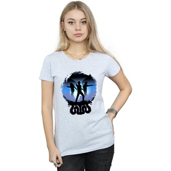 Vêtements Femme T-shirts manches longues Harry Potter Attack Silhouette Gris