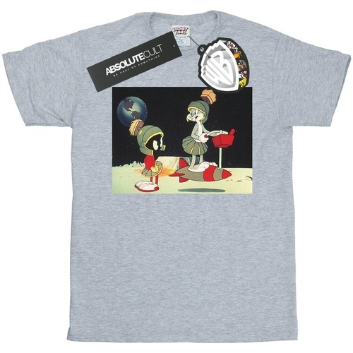 Vêtements Garçon T-shirts manches courtes Dessins Animés Bugs Bunny Spaced Gris