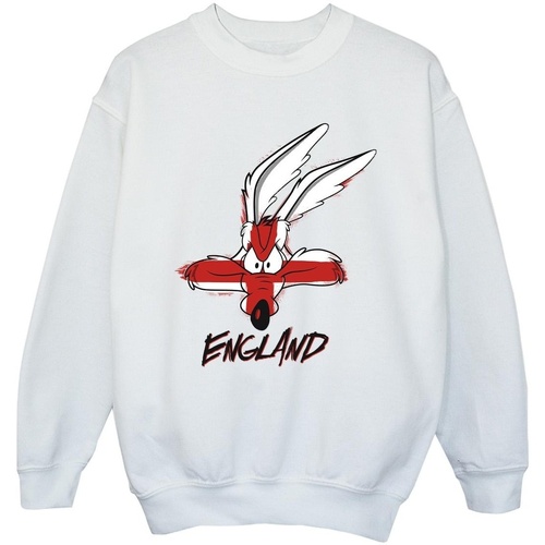 Vêtements Fille Sweats Dessins Animés Coyote England Face Blanc