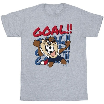 Vêtements Garçon T-shirts manches courtes Dessins Animés Taz Goal Goal Goal Gris