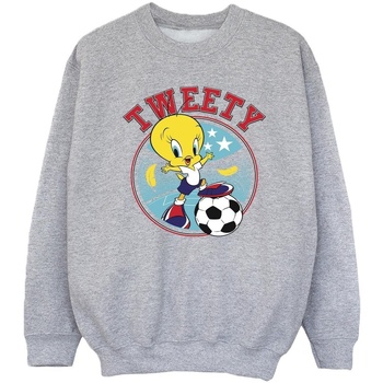 Vêtements Fille Sweats Dessins Animés Tweety Football Circle Gris
