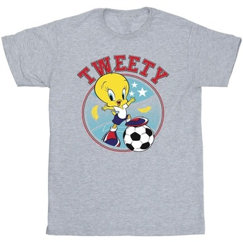 Vêtements Garçon T-shirts manches courtes Dessins Animés Tweety Football Circle Gris