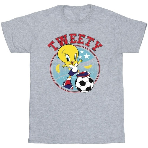 Vêtements Garçon T-shirts manches courtes Dessins Animés Tweety Football Circle Gris