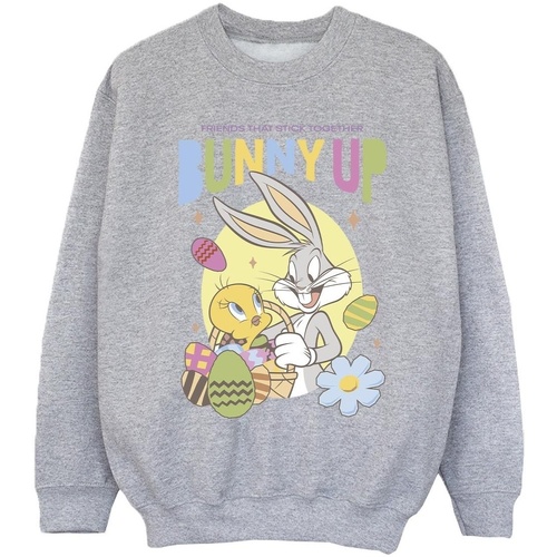 Vêtements Fille Sweats Dessins Animés Bunny Up Gris