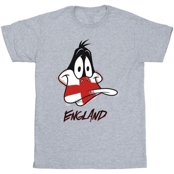 Vêtements Fille T-shirts manches longues Dessins Animés Daffy England Face Gris
