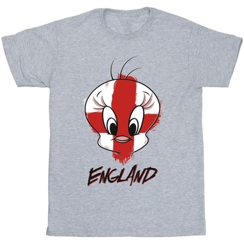 Vêtements Fille T-shirts manches longues Dessins Animés Tweety England Face Gris