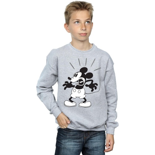 Vêtements Garçon Sweats Disney Mickey Mouse Scared Gris
