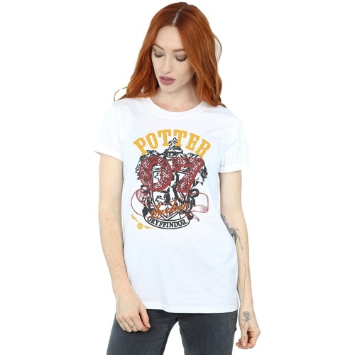 Vêtements Femme T-shirts manches longues Harry Potter Gryffindor Seeker Blanc