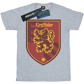 Vêtements Femme T-shirts manches longues Harry Potter Gryffindor Crest Flat Gris