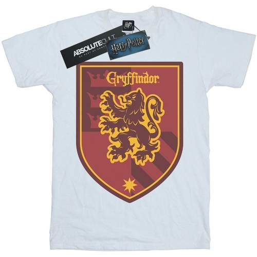 Vêtements Femme T-shirts manches longues Harry Potter Gryffindor Crest Flat Blanc