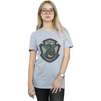 Vêtements Femme T-shirts manches longues Harry Potter Slytherin Crest Flat Gris