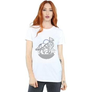 Vêtements Femme T-shirts manches longues Harry Potter Buckbeak Line Art Blanc