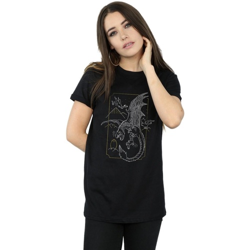 Vêtements Femme T-shirts manches longues Harry Potter Dragon Line Art Noir