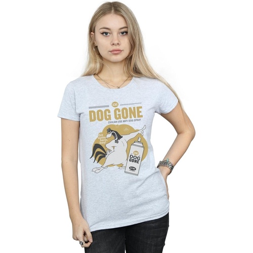 Vêtements Femme T-shirts manches longues Dessins Animés Foghorn Leghorn Dog Gone Gris