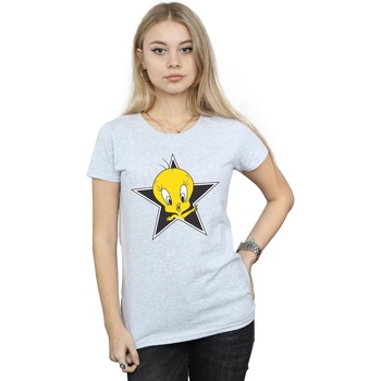Vêtements Femme T-shirts manches longues Dessins Animés Tweety Pie Star Gris