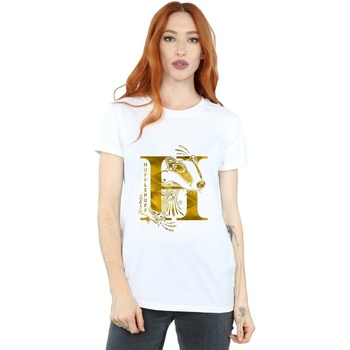 Vêtements Femme T-shirts manches longues Harry Potter Hufflepuff Badger Blanc