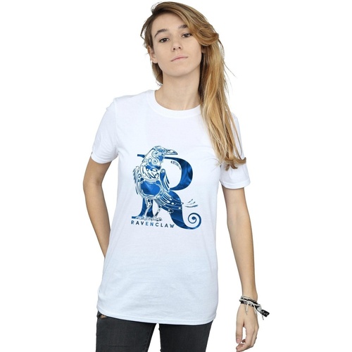 Vêtements Femme T-shirts manches longues Harry Potter Ravenclaw Raven Blanc