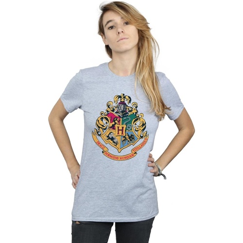 Vêtements Femme T-shirts manches longues Harry Potter Hogwarts Crest Gold Ink Gris