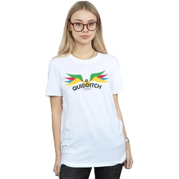 Vêtements Femme T-shirts manches longues Harry Potter Snitch Wings Pastels Blanc