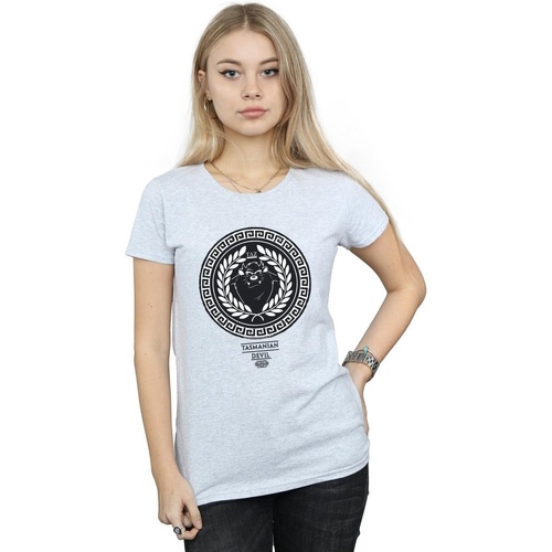 Vêtements Femme T-shirts manches longues Dessins Animés Taz Greek Circle Gris