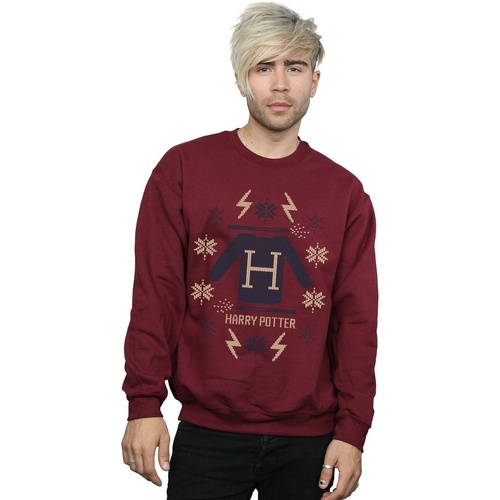 Vêtements Homme Sweats Harry Potter Christmas Knit Multicolore