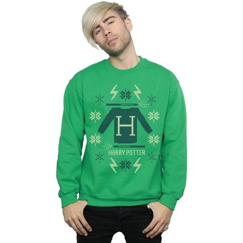 Vêtements Homme Sweats Harry Potter Christmas Knit Vert