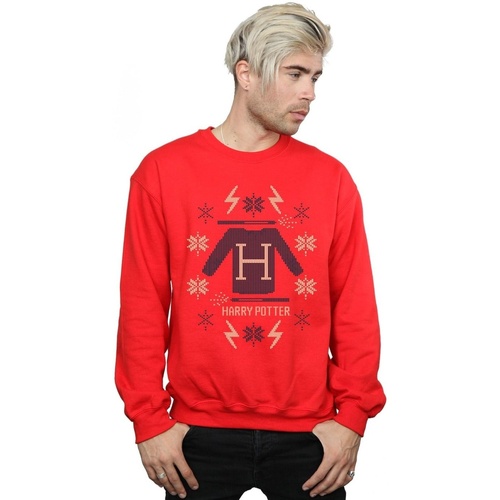 Vêtements Homme Sweats Harry Potter Christmas Knit Rouge