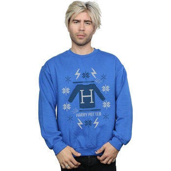 Vêtements Homme Sweats Harry Potter Christmas Knit Bleu