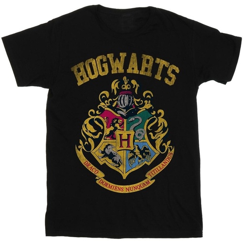 Vêtements Femme T-shirts manches longues Harry Potter Hogwarts Varsity Noir