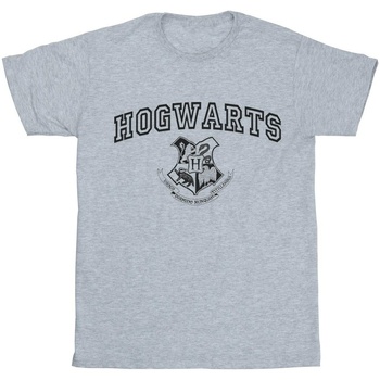 Vêtements Femme T-shirts manches longues Harry Potter Hogwarts Crest Gris