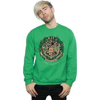 Vêtements Homme Sweats Harry Potter Christmas Wreath Vert