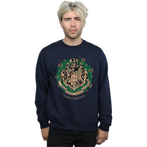 Vêtements Homme Sweats Harry Potter Christmas Wreath Bleu