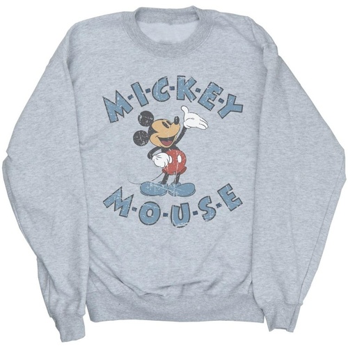 Vêtements Garçon Sweats Disney Mickey Mouse Dash Gris