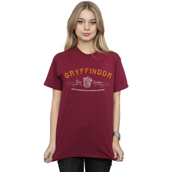 Vêtements Femme T-shirts manches longues Harry Potter Gryffindor Team Quidditch Multicolore