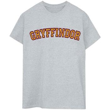 Vêtements Femme T-shirts manches longues Harry Potter Collegial Gryffindor Gris