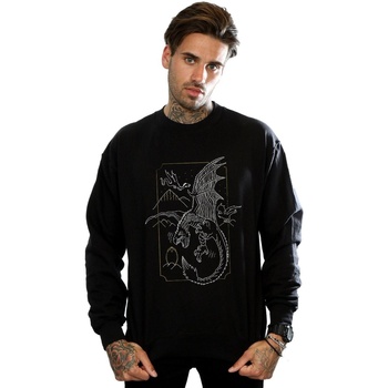 Vêtements Homme Sweats Harry Potter Dragon Line Art Noir