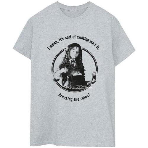 Vêtements Femme T-shirts manches longues Harry Potter Hermione Breaking The Rules Gris
