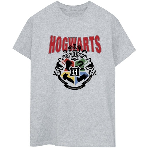 Vêtements Femme Rideaux / stores Harry Potter Hogwarts Emblem Gris
