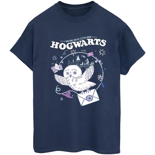 Vêtements Femme T-shirts manches longues Harry Potter Ballerines / Babies Bleu
