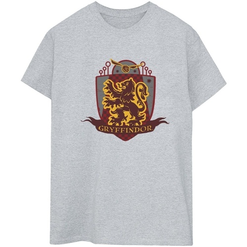 Vêtements Femme T-shirts manches longues Harry Potter Gryffindor Chest Badge Gris