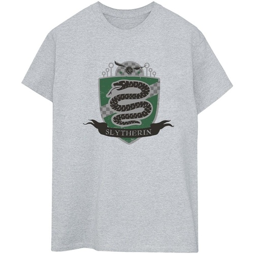 Vêtements Femme T-shirts manches longues Harry Potter Slytherin Chest Badge Gris