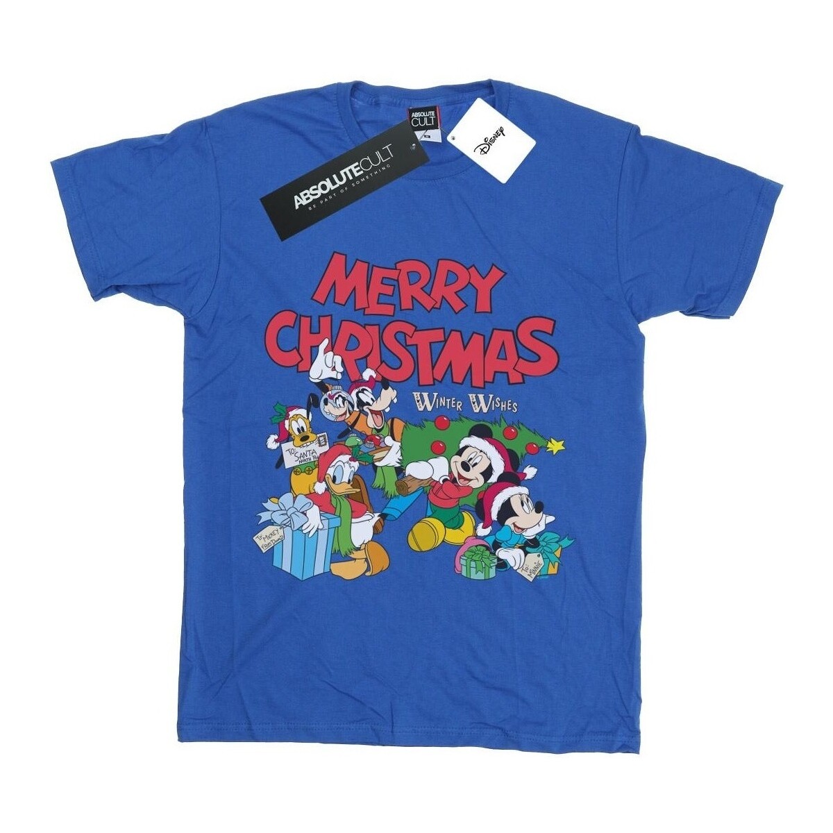 Vêtements Garçon T-shirts & Polos Disney Mickey And Friends Winter Wishes Bleu