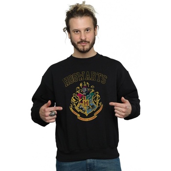 Vêtements Homme Sweats Harry Potter Slytherin Sport Emblem Noir