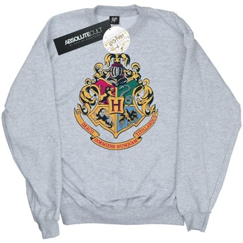 Vêtements Homme Sweats Harry Potter Hogwarts Crest Gold Ink Gris
