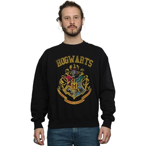 Vêtements Homme Sweats Harry Potter Hogwarts Varsity Noir