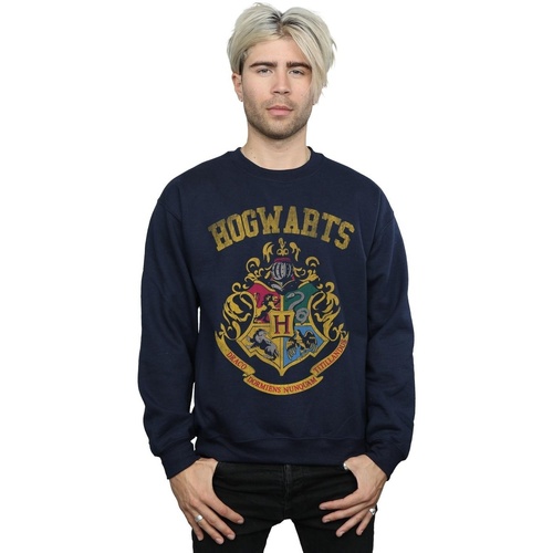 Vêtements Homme Sweats Harry Potter Hogwarts Varsity Bleu