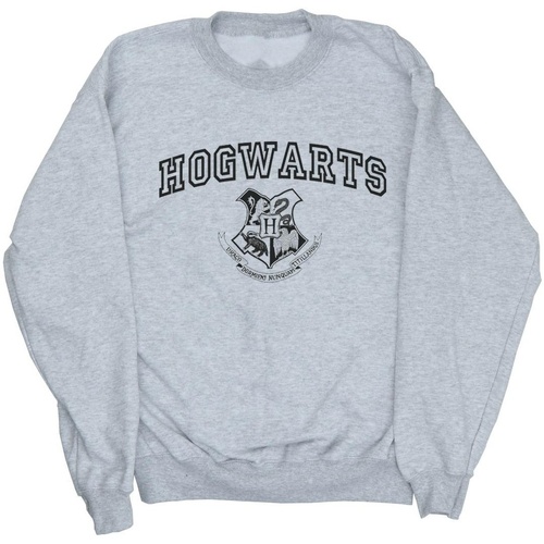 Vêtements Homme Sweats Harry Potter Hogwarts Crest Gris