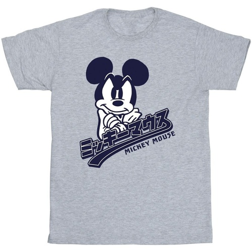 Vêtements Garçon T-shirts manches courtes Disney Mickey Mouse Japanese Gris