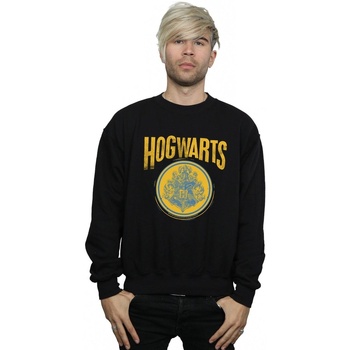 Vêtements Homme Sweats Harry Potter Hogwarts Circle Crest Noir